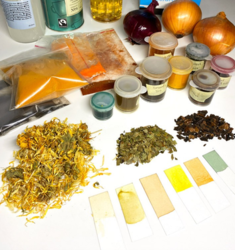 The Magic of Natural Inks Workshop