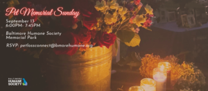 Baltimore Humane Society's 15th Annual Pet Memorial Sunday