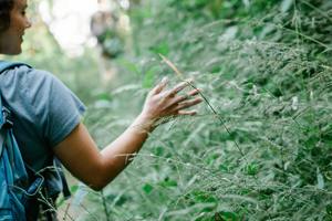 Forest Bathing with Pam Lowe Cho