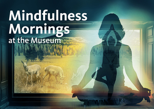 Mindfulness Mornings - The Sound Healing Studio