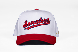 Washington Nationals vs. Texas Rangers — True Brvnd Washington Senators Night & Family Fun Tuesday