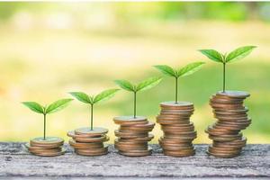 The Markets Today or Foundations of Investing