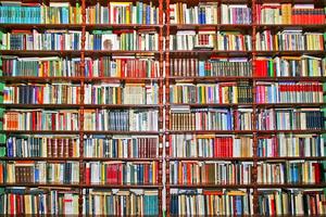 Fall-Tastic Saturday Book Sale!