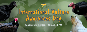 International Vulture Awareness Day