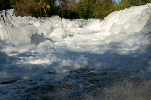 The Tijuana River Crisis: Health, Accountability, and Hope for San Diego's South Bay