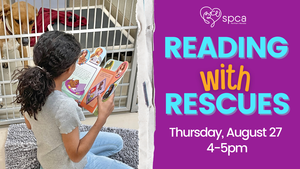 SPCA-NN Reading With Rescues