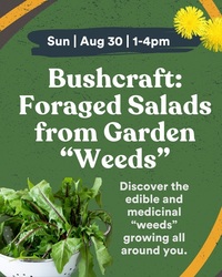 Bushcraft: Foraged Salads from Garden "Weeds"