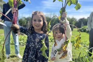 Harvest Festival