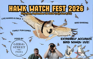 Hawk Watch Fest at Greenwich Audubon Center