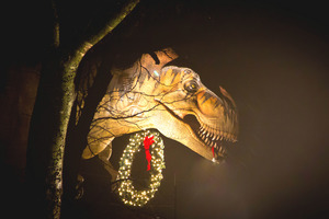 Holidays at the Heard