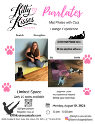 Purrlates -- Beginner Mat Pilates with Cats