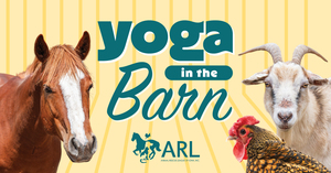 Yoga in the Barn