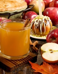 Connecticut Apples: “Bloom Where Planted” Class & Craft