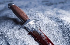 Murder Mystery Experience: Evil on the Beach