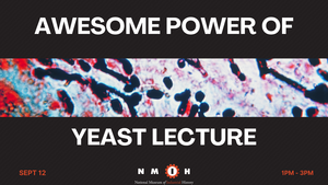 The Awesome Power of Yeast – Lecture by Gregory Lang
