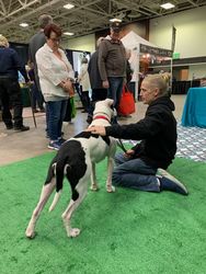 Summer of Love Pet Adoption Event with Ruff Start Rescue at MOA