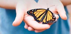 Wildlands Conservancy – Monarch Tagging & Meadow Restoration Tour