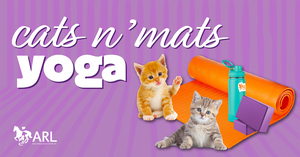 Cats N' Mats