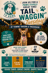 Tail Waggin Tuesday