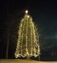 Cedarcrest's 75th Annual Tree Lighting