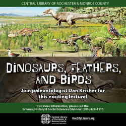 Dinosaurs, Feathers, and Birds