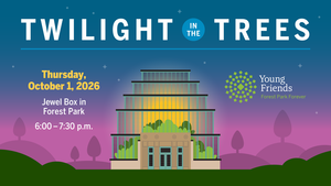 Twilight in the Trees
