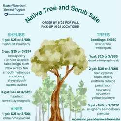 Native Tree and Shrub Sale