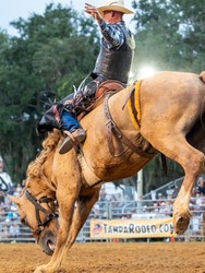 Tampa Bay Rodeo & Family Festival