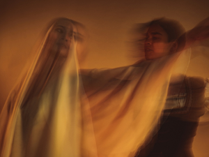 Nashville Ballet: Giselle