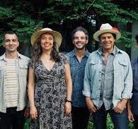 The Mammals