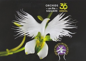Delray Beach Orchid Society Event and Sale 2026