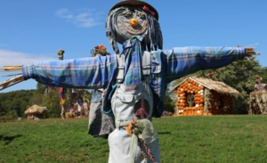 Scarecrows, Pumpkins and Fun!