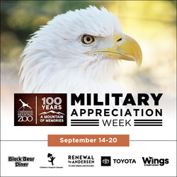 Military Appreciation Week