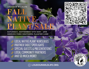 Native Plant Sale