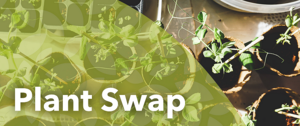 Plant Swap