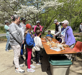 Nature Tours at Five Mile Woods Preserve