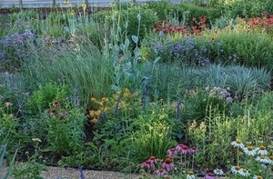 Garden Talk Series : Planting for Pollinators