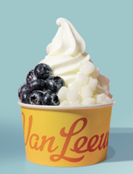 Van Leeuwen Debuts Fro-Yo + $1 Fro-Yo Offer