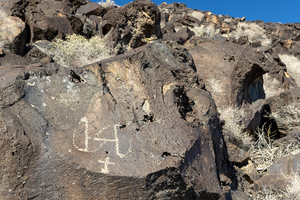 B.A.R.K. Ranger Hike at Rinconada Canyon