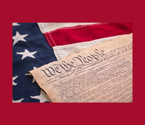 Voice the Constitution