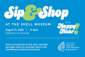 Sip and Shop at the Shell Museum
