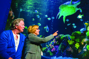 Teacher Appreciation Month at SEA LIFE San Antonio!