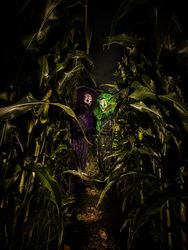 Dark Harvest Scream Park