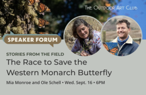 Stories from the Field: The Race to Save the Western Monarch Butterfly