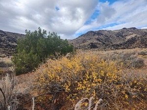 Guided Hike at Rinconada Canyon