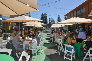 Picnic on the Plaza