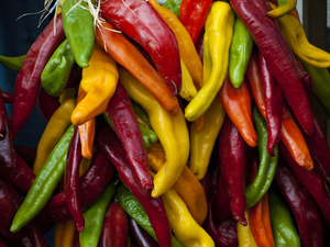 From Field to Ristra: Celebrating Pueblo Chile Traditions