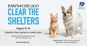 Clear the Shelters