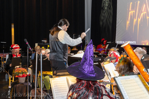 SaddleBrooke Winds and Strings "Windows of Imagination"