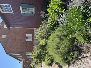 America 250: Roots of Community - Garden Day